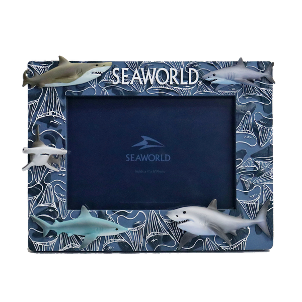 455523SHARKTOOTHFRAME_74b05f85