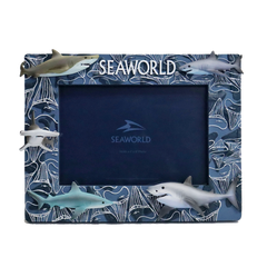 455523SHARKTOOTHFRAME_74b05f85