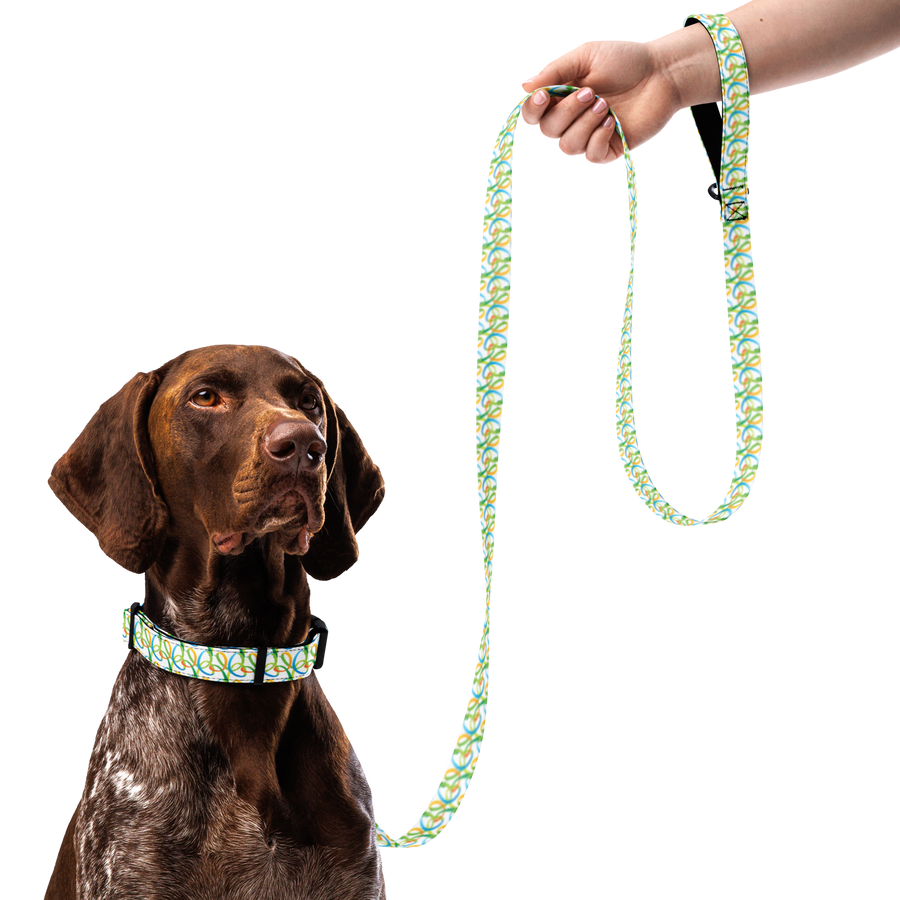Bush Gardens Pet Collar & Leash