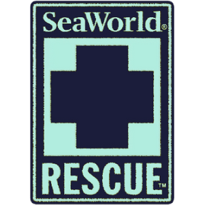 SeaWorld Rescue Navy Mint Rectangle Patch