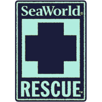 SeaWorld Rescue Navy Mint Rectangle Patch