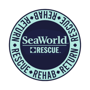 SeaWorld Rescue Navy Mint Circle Patch