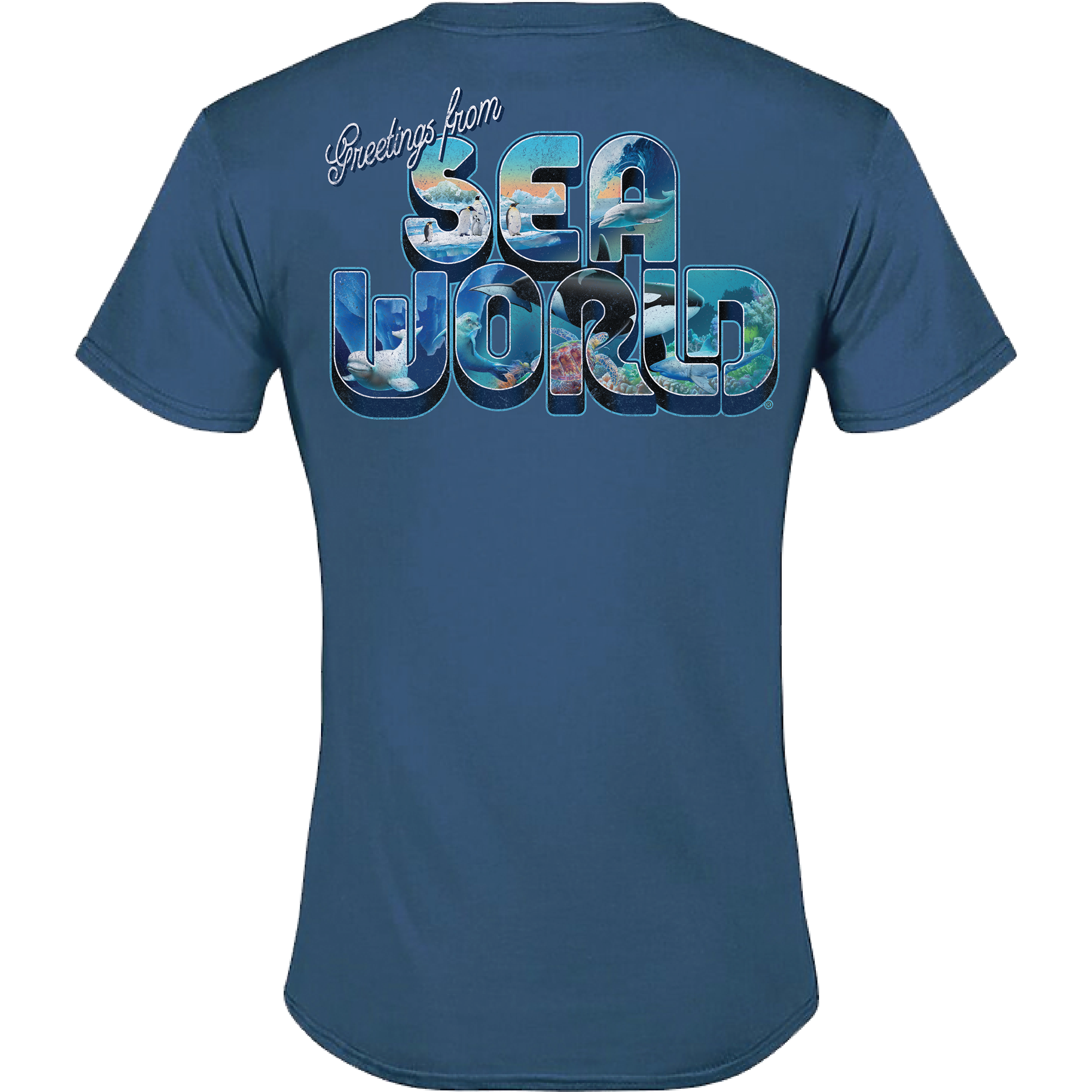 SeaWorld Greetings From San Diego Blue Men's Tee - SeaWorld