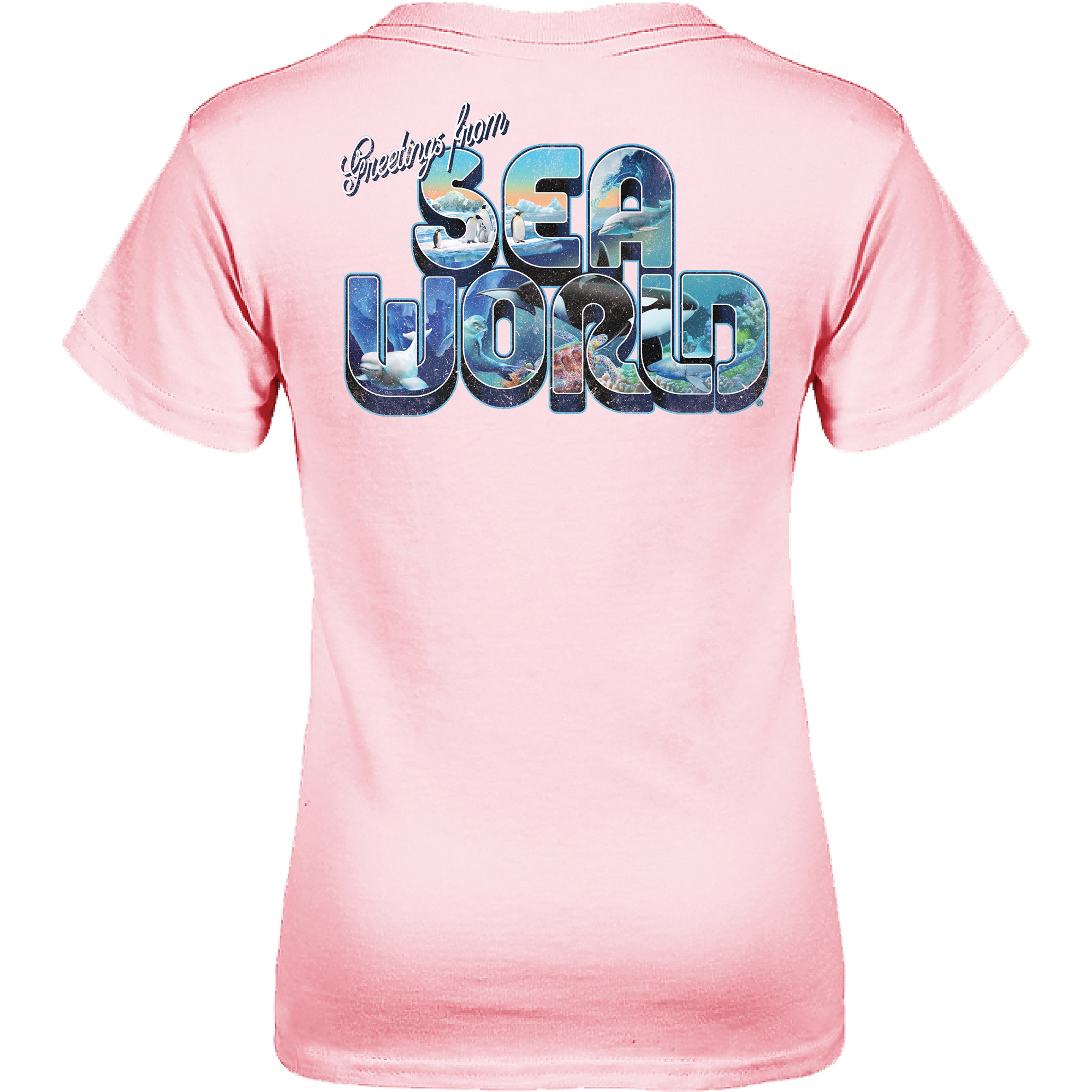 SeaWorld Greetings From Orlando Pink Youth Girl Tee - SeaWorld SeaWorld Greetings From Orlando Pink Youth Girl Tee - SeaWorld